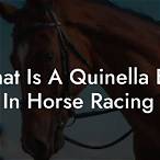 quinella bet calculator